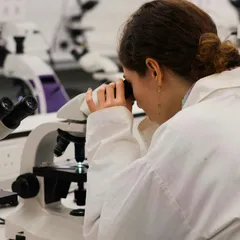 Scientist looking through a microscope in a laboratory